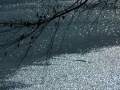 hechtsee_0208-235