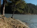 hechtsee_0208-237