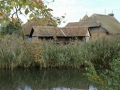 ecomusee-2007-199
