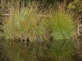 ecomusee-2007-234