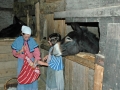 ecomusee-2007-255