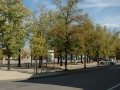 neuf_brisach_1007-469
