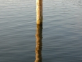 mueritz_0508-240