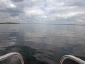 mueritz_0508-276