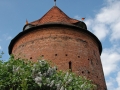 mueritz_0508-419