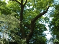 mueritz_0508-458