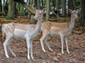 tierpark_silz_637