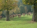 tierpark_silz_655