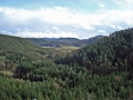pfalz_altdahn_03-2008-196