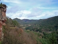 pfalz_altdahn_03-2008-198