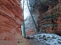 pfalz_altschlossfelsen-03-2008-112