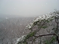 pfalz_altschlossfelsen-03-2008-142