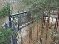 pfalz_baumwipfelfad_03-2008-175