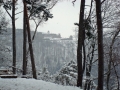 pfalz_neu-scharfeneck_03-2008-265
