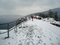 pfalz_neu-scharfeneck_03-2008-291