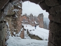 pfalz_neu-scharfeneck_03-2008-294