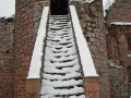 pfalz_neu-scharfeneck_03-2008-303