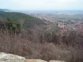 pfalz_neustadt_03-2008-314