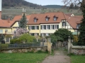 pfalz_neustadt_03-2008-319