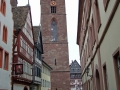 pfalz_neustadt_03-2008-321
