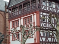 pfalz_neustadt_03-2008-328