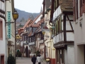 pfalz_neustadt_03-2008-339