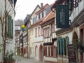 pfalz_neustadt_03-2008-341