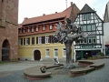 pfalz_neustadt_03-2008-343