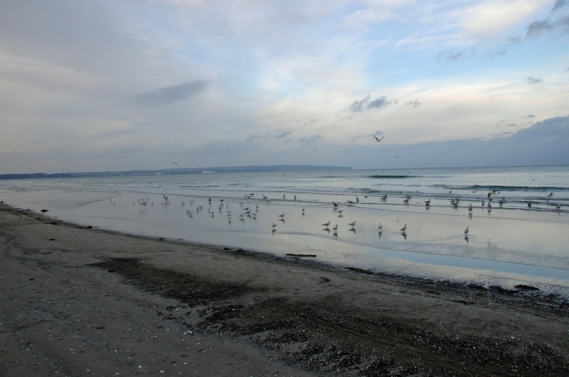 02_prora-182