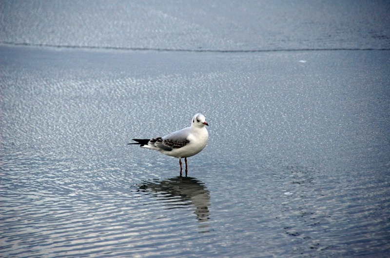 02_prora-185