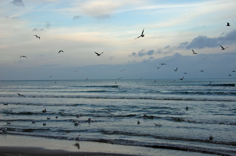 02_prora-197