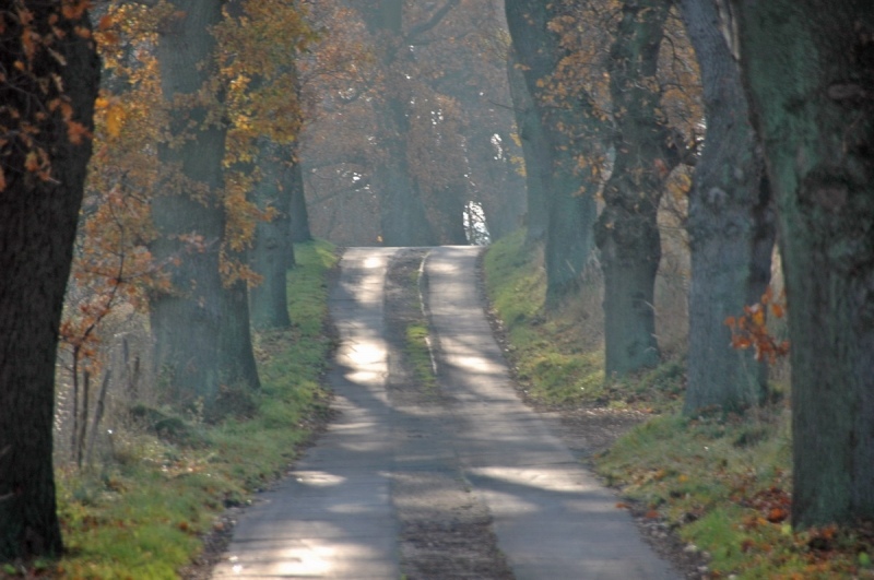 03_moritzdorf-206