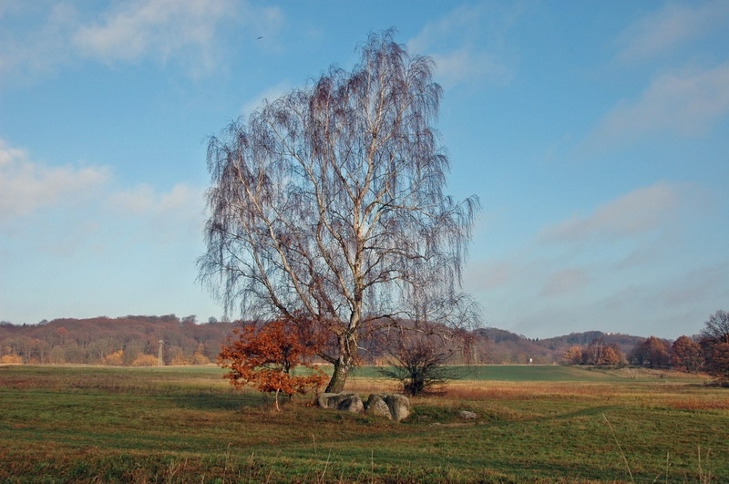 03_moritzdorf-217