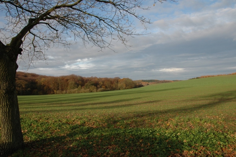 03_moritzdorf-220