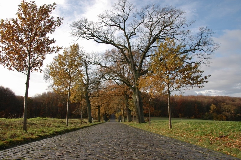 03_moritzdorf-221