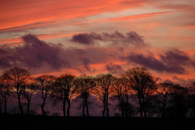 07_abendstimmung-393