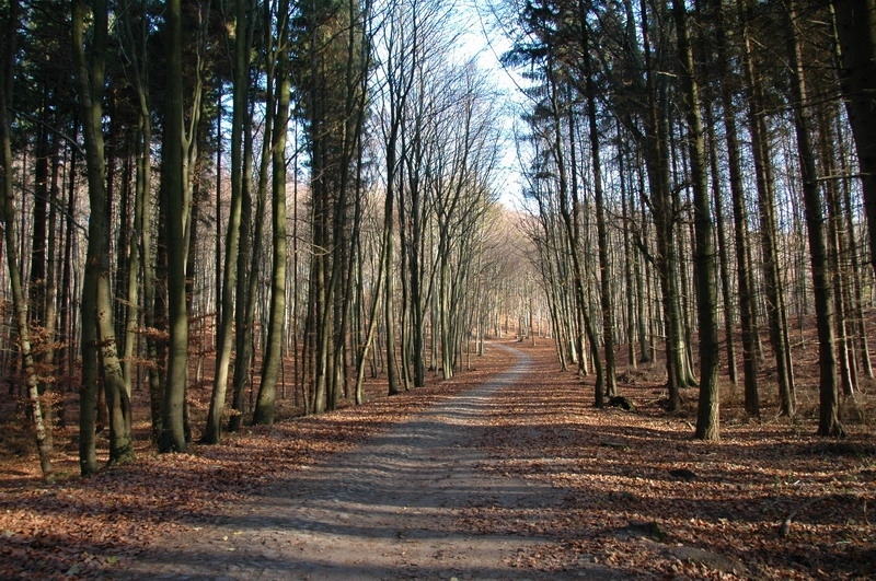10_granitz-493