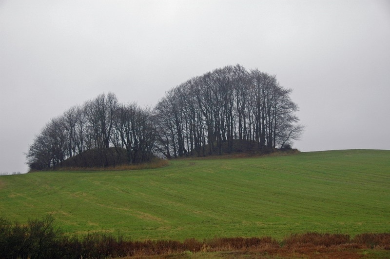 15-neddesitz-569