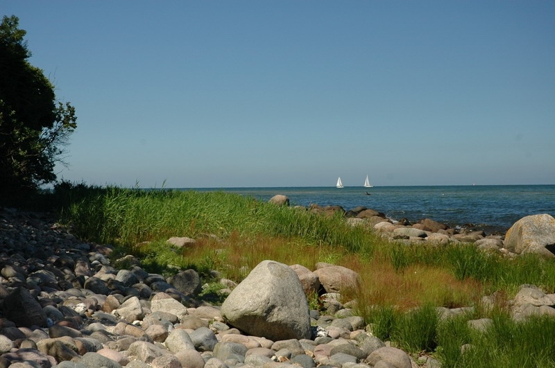 ruegen01_kreidekueste-118