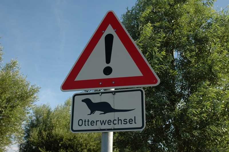 ruegen05_spyker-231