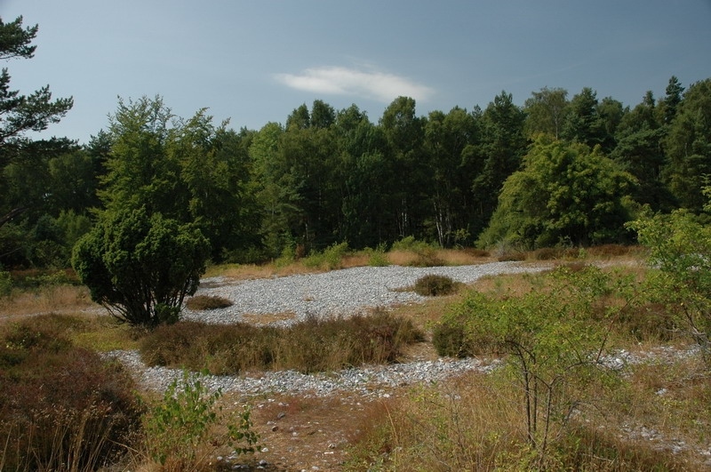 ruegen08_mukran-300