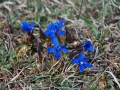 beutelay_0407-236