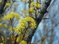 beutelay_0407-242