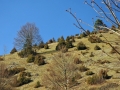 bichishausen_0407-409