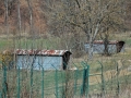 np_muensingen_0407-112