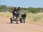 tag-07-damara-land-094