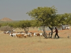 tag-07-damaraland-0314