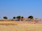 tag-07-damaraland-0316