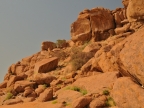 tag-07-damaraland-0319