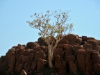 tag-07-damaraland-0327